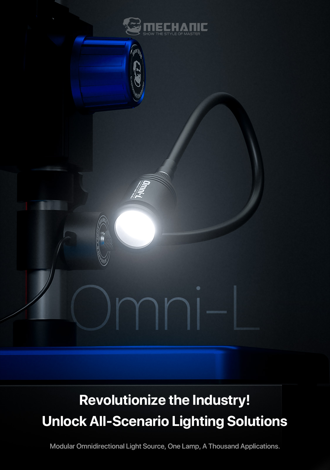 Sorgente Luminosa Universale p - Ring Blank Adjustable recensione e prezzo