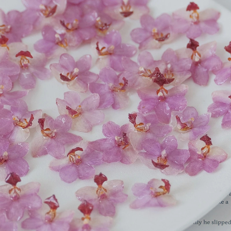Gioielli fai-da-te Kit orchide - Jewelry Making Event recensione e prezzo